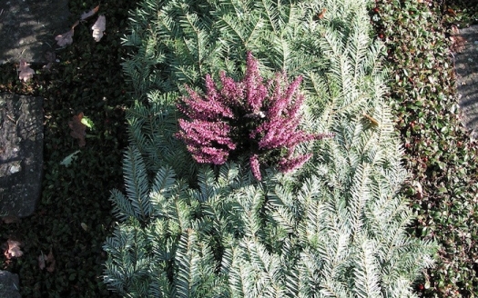 Sargreihengrab Winter Variante A