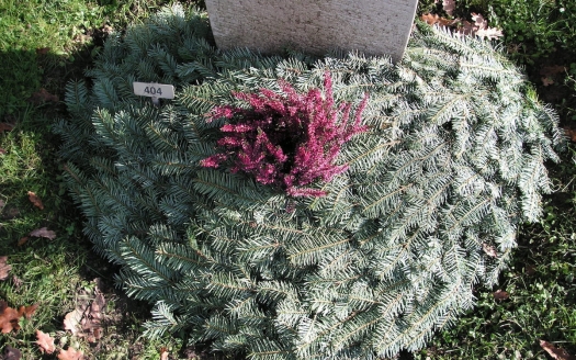 Urnengrab Winter Varinate A