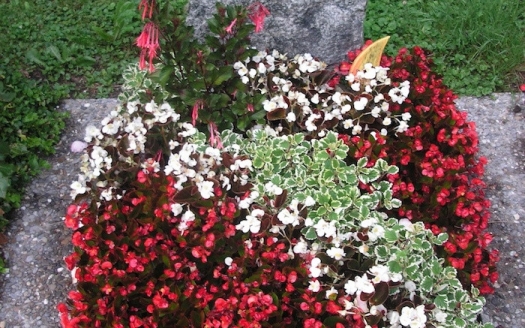 Sargreihengrab Sommer Variante B