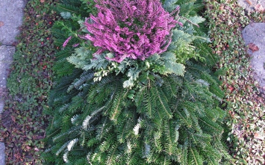 Sargreihengrab Winter, Variante B