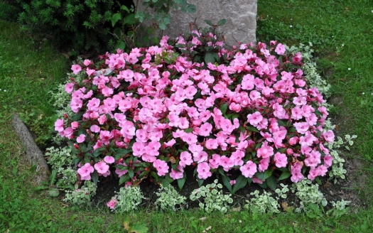 Familiengrab Sommer Variante C