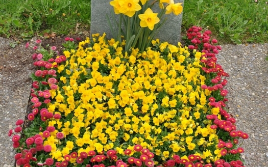 Sargreihengrab Frühling, Variante C